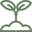 Download Svg3