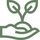 Download Svg5
