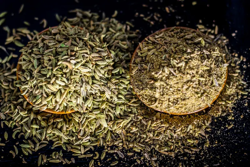 Fennel seeds & powder