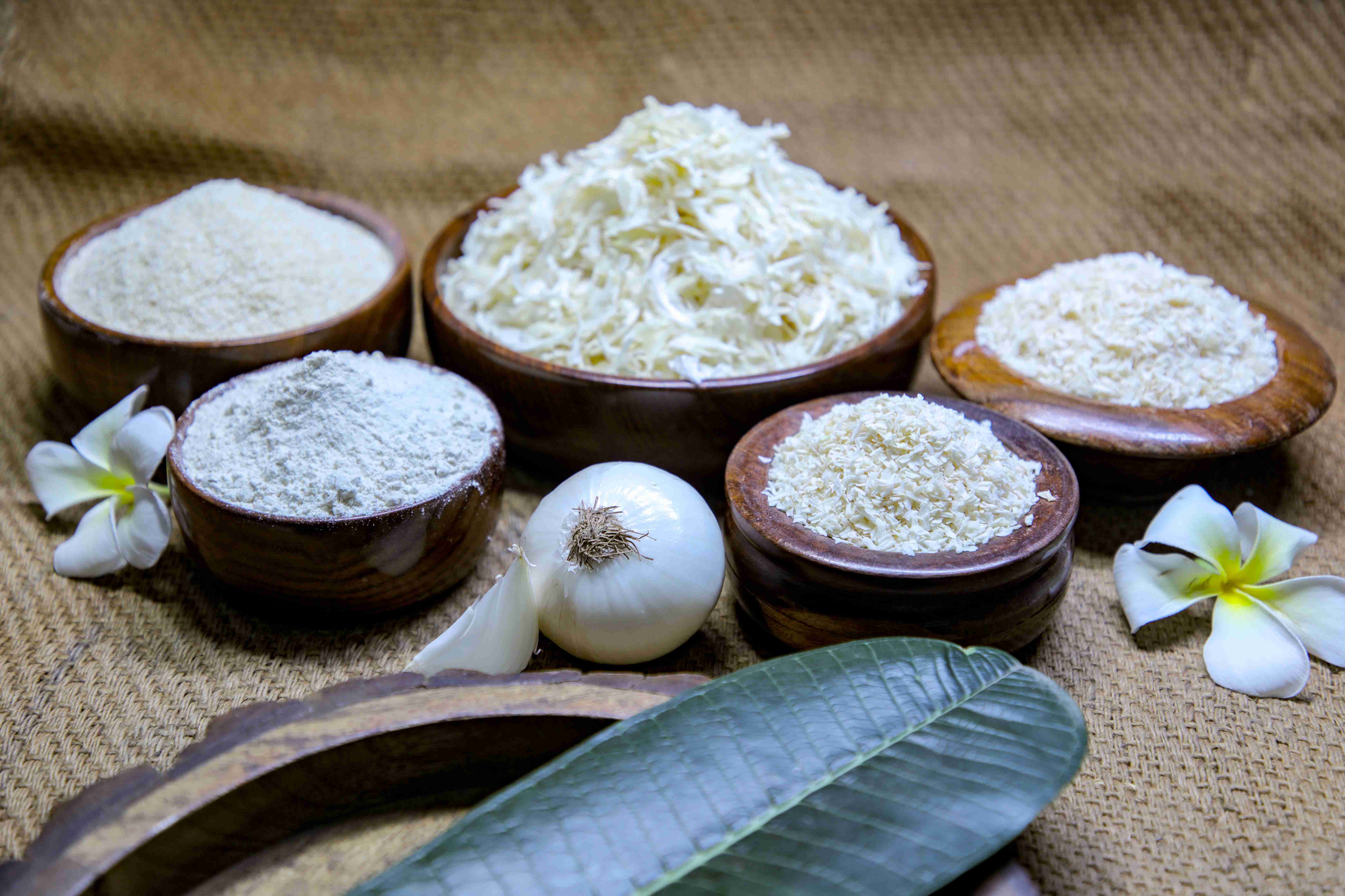 DEHYDRATED WHITE ONION